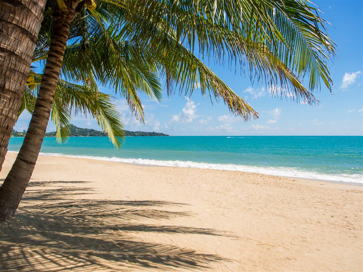 Fototapeta odľahlá pláž snov