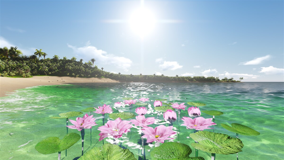 Fototapeta Ružové lotosy na vodnej hladine