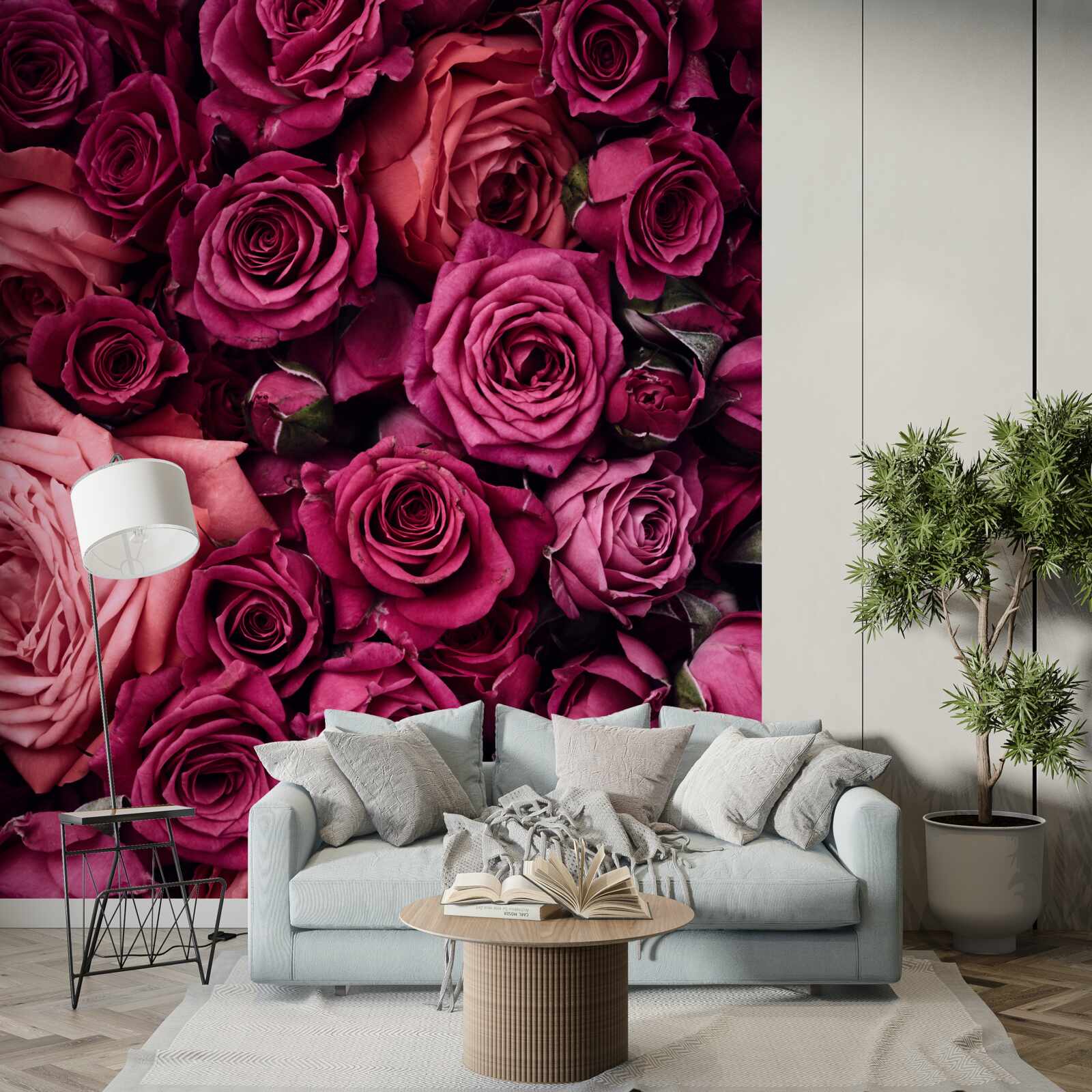 Fototapeta krásne ruže zblízka