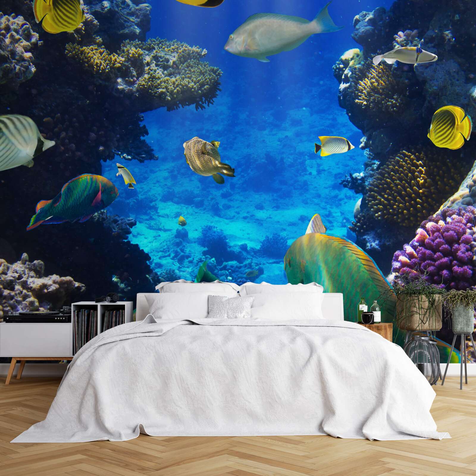 Fototapeta tajné hlbiny oceánu