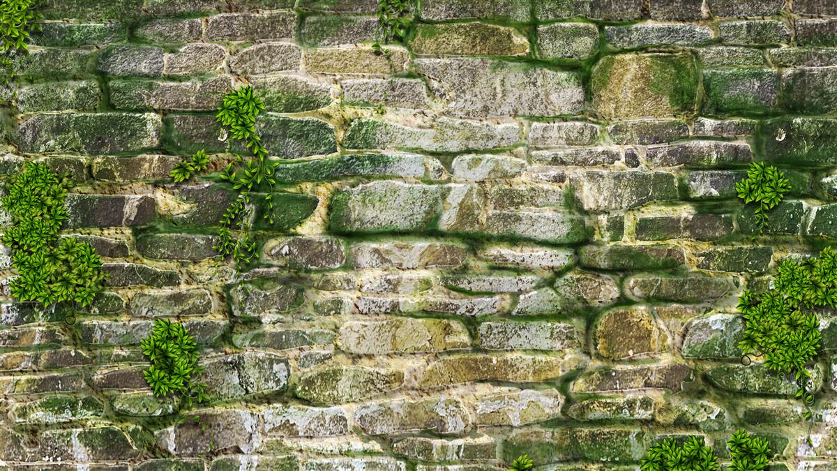 Fototapeta starý kameň pokrytý macho