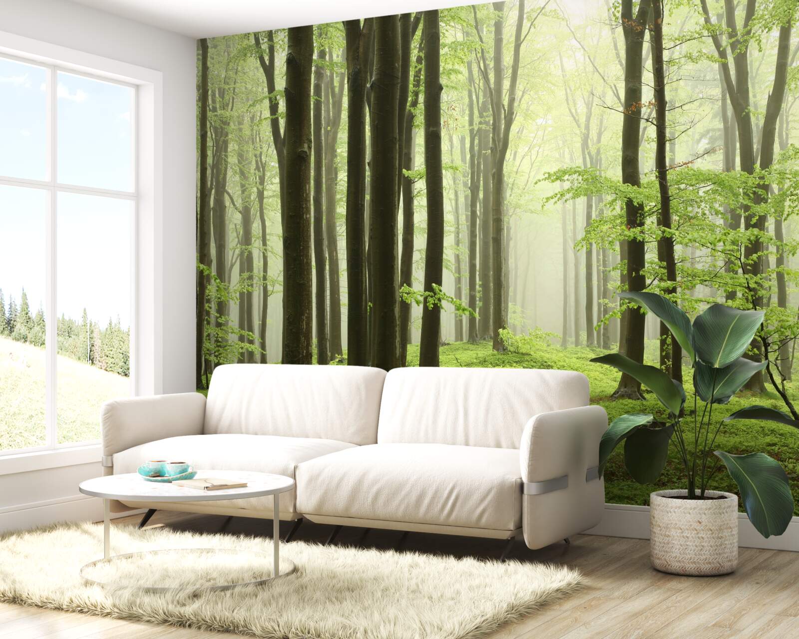 Fototapeta strmý v hustom lese