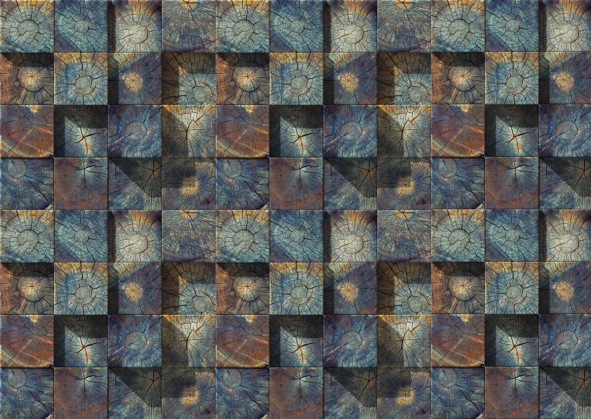 Fototapeta sadenice malých stromov