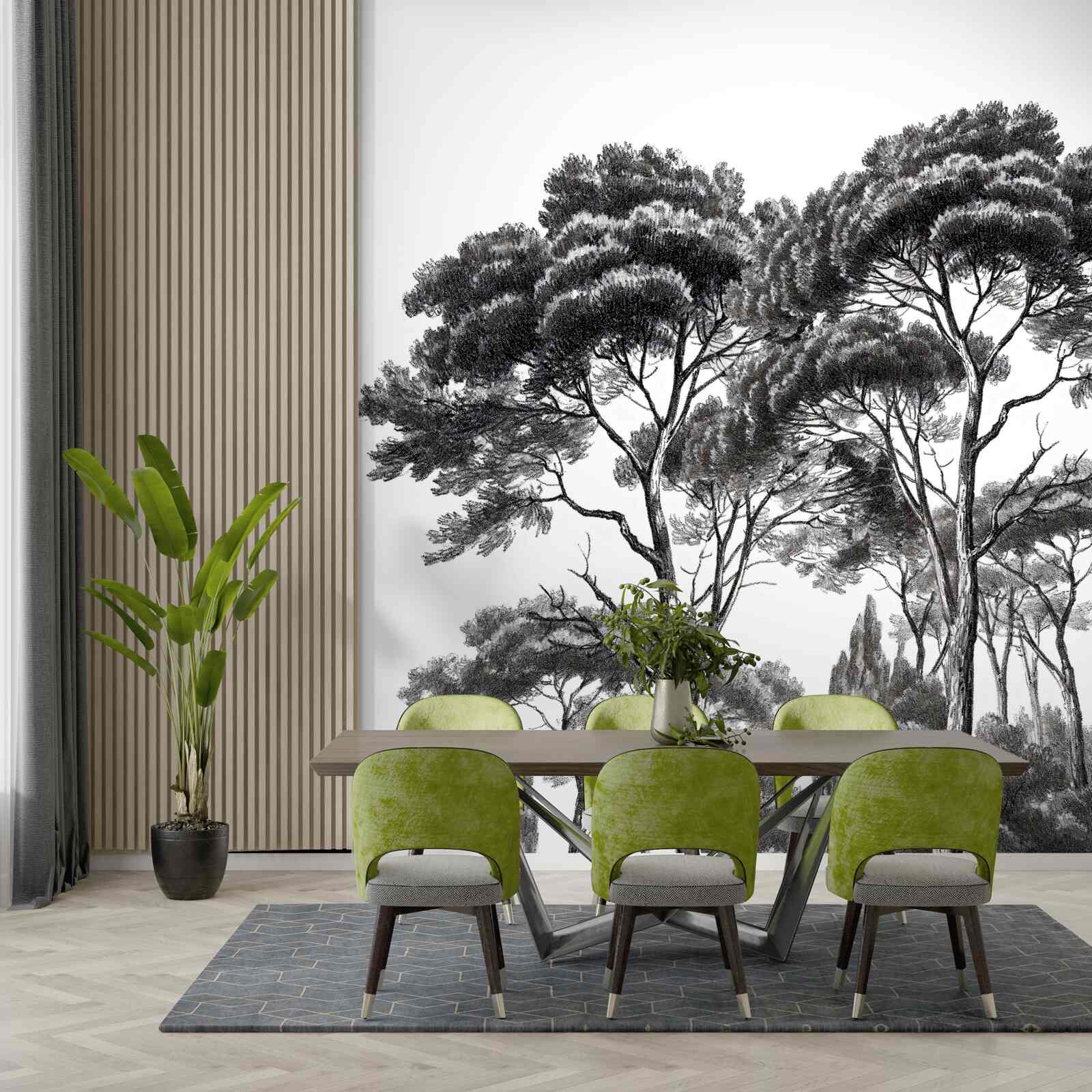 Fototapeta borovice z Talianska