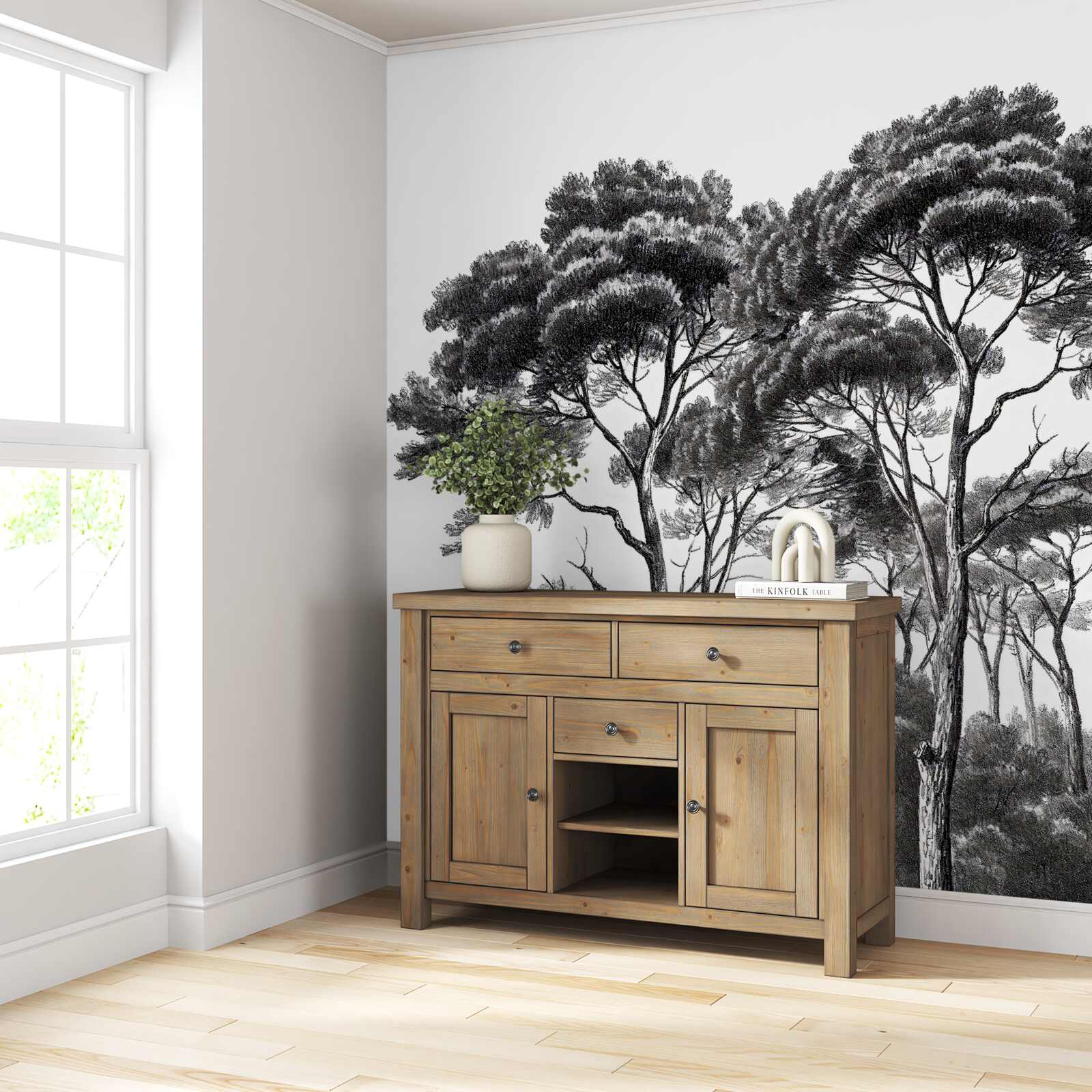 Fototapeta borovice z Talianska