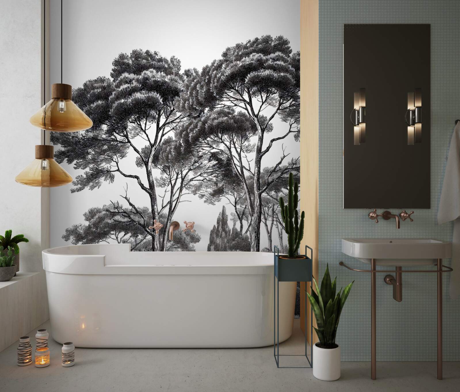 Fototapeta borovice z Talianska