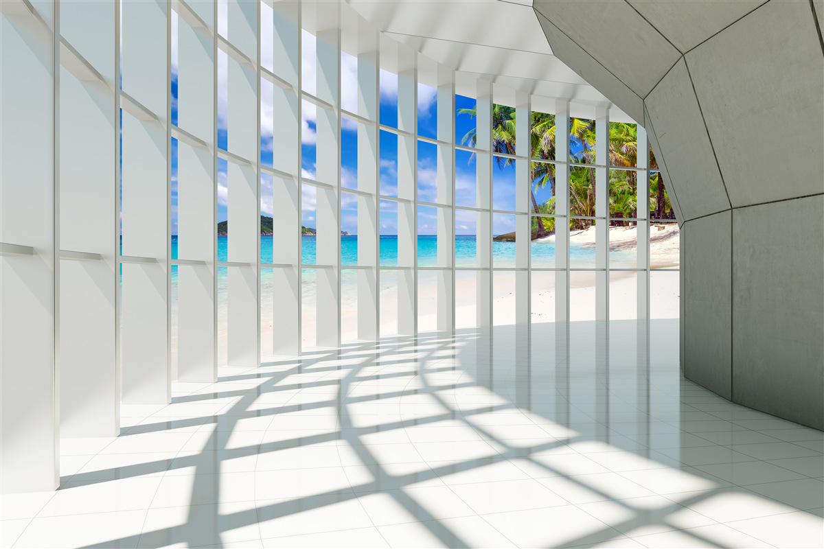 Fototapeta svetlý les