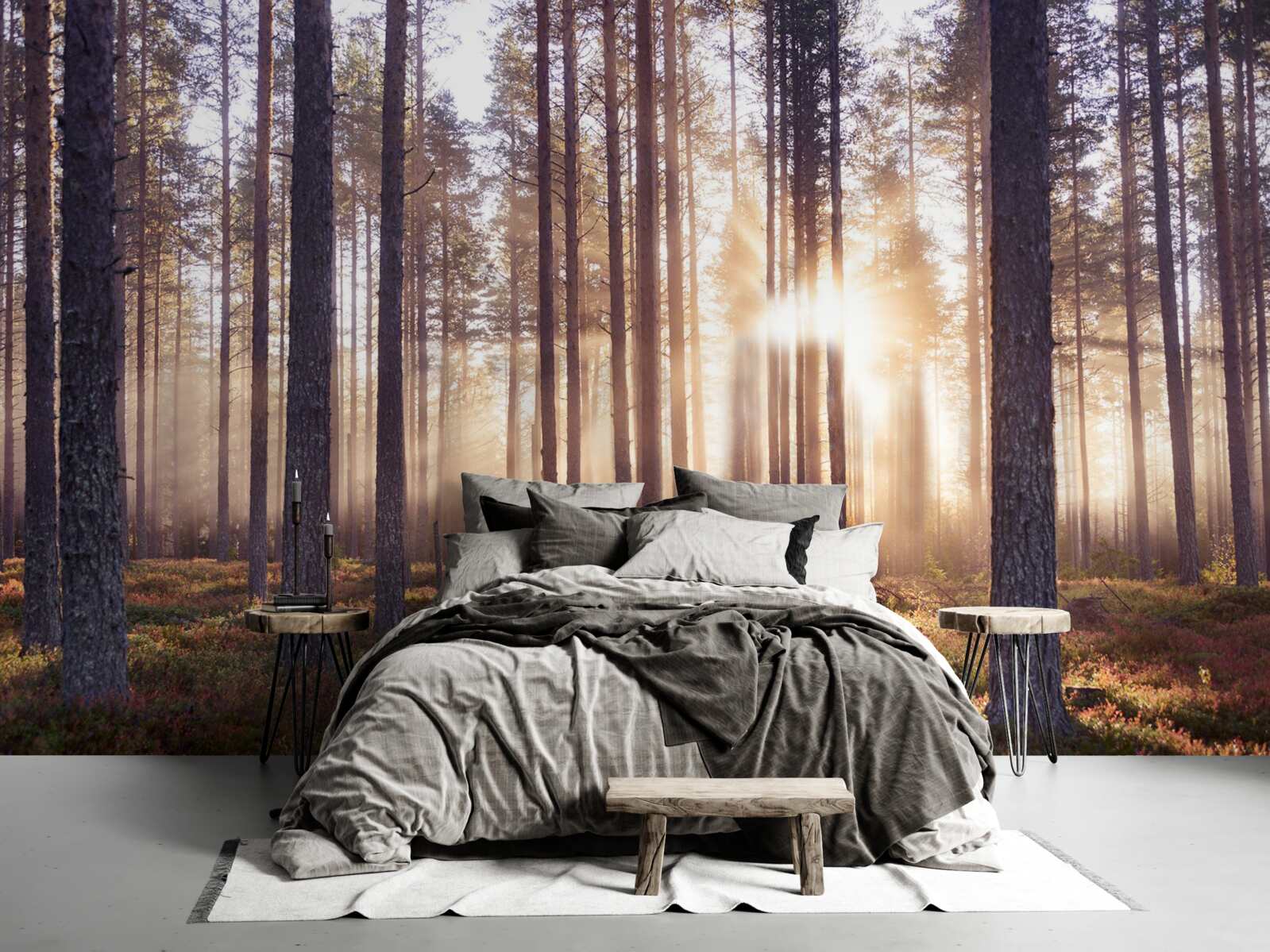 Fototapeta ráno ráno