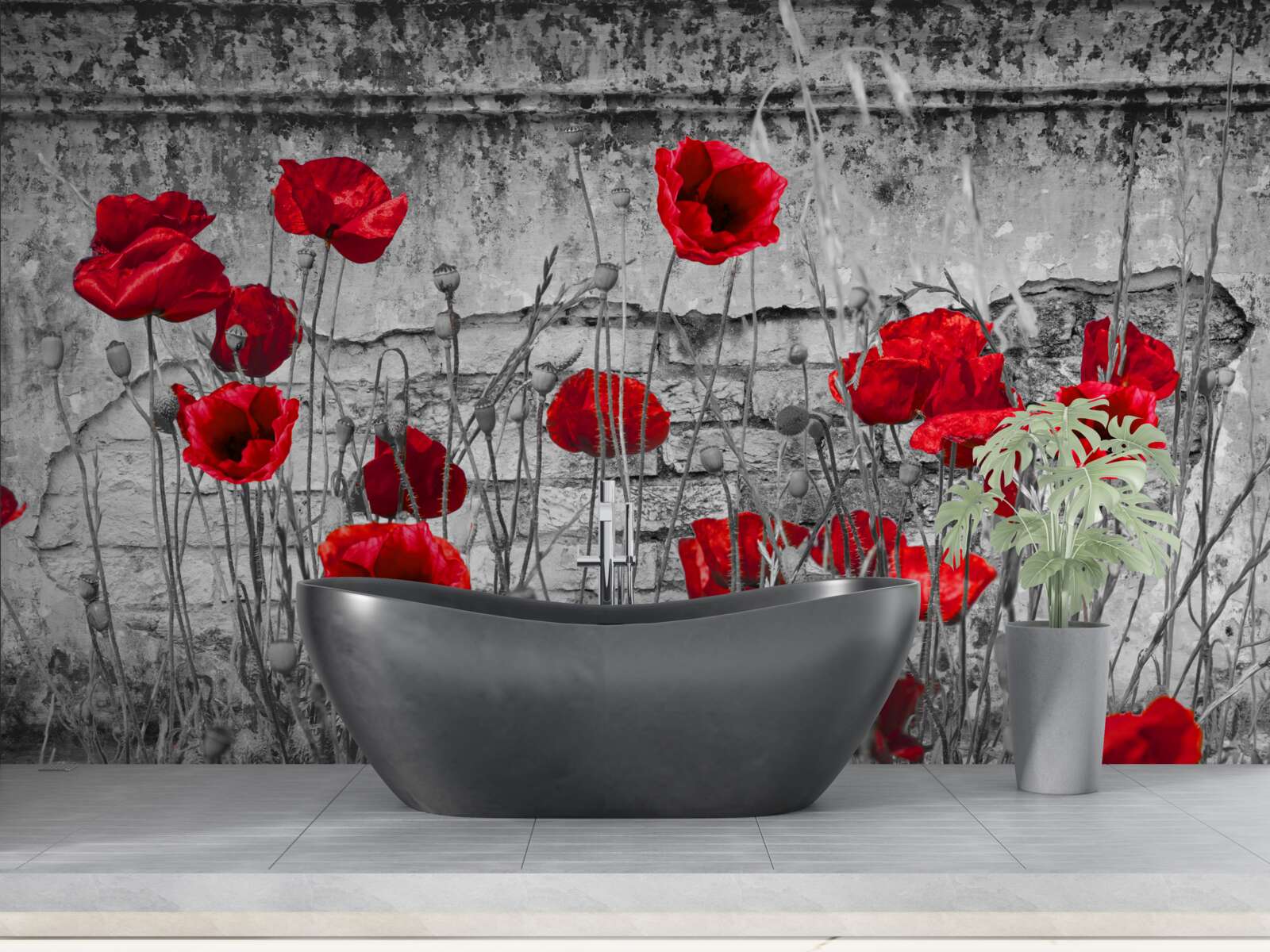 Fototapeta šarlátové maky na sivom podklade