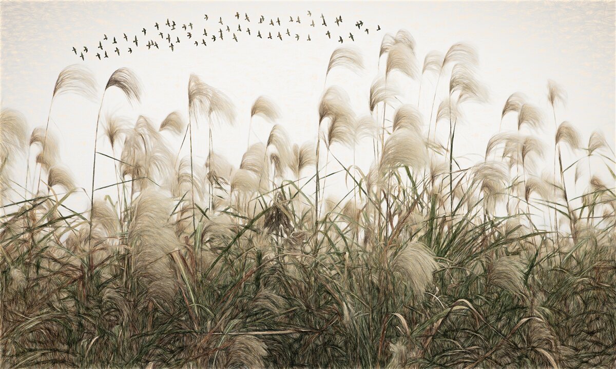 Fototapeta rastliny s nadýchanou textúrou