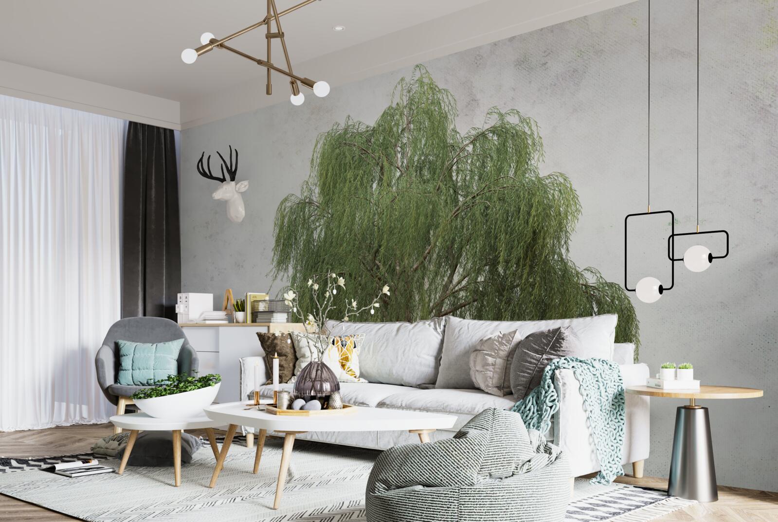 Fototapeta smútočná vŕba