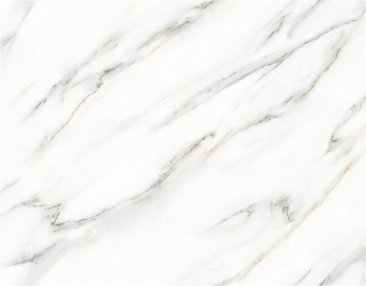 Fototapeta Pózy sú bielej a šedej farby