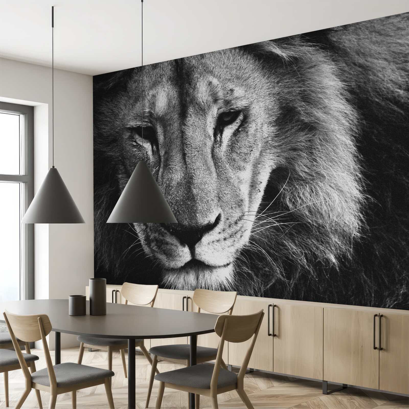 Fototapeta portrét dospelého leva čiernej v a bielej