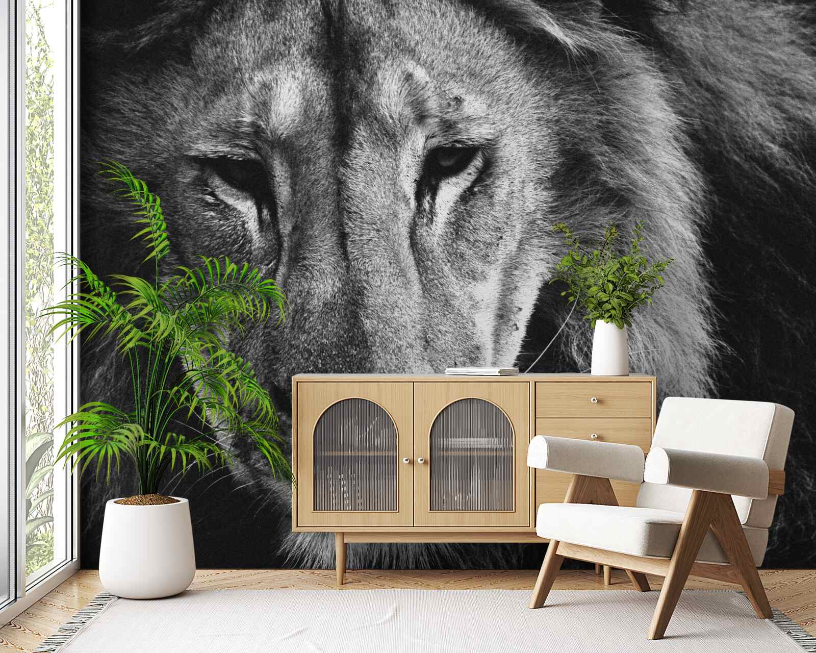 Fototapeta portrét dospelého leva čiernej v a bielej