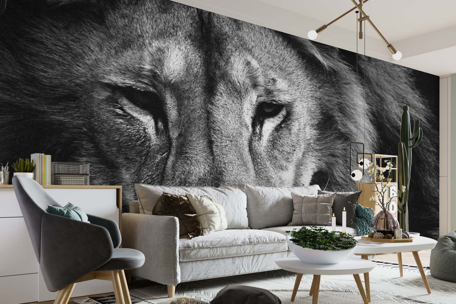 Fototapeta portrét dospelého leva čiernej v a bielej