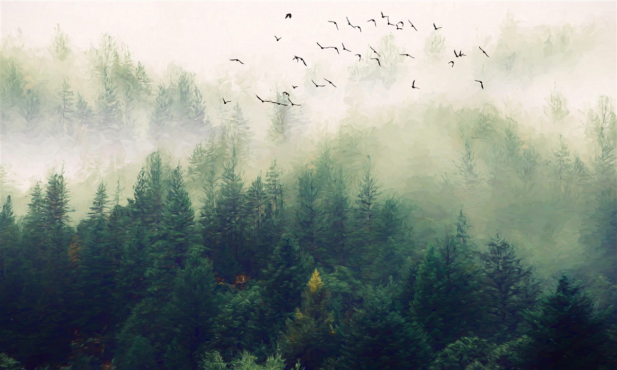 Fototapeta vtáky lietajú nad lesom v hmlistom vzduchu