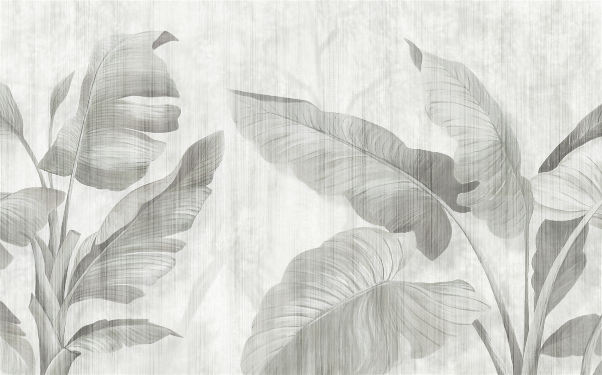 Fototapeta tropické palmové listy