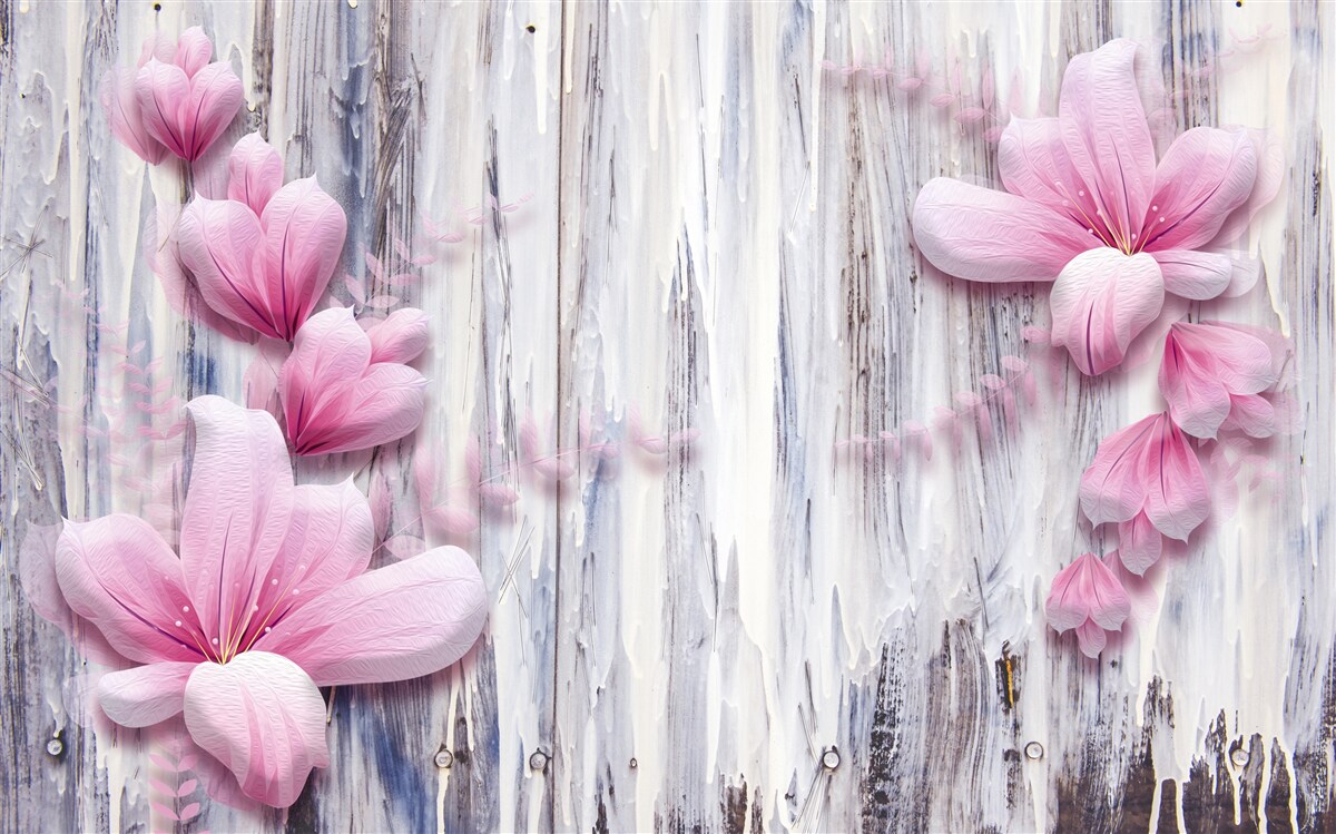 Fototapeta Ružové kvety na stene v rôznych farbách