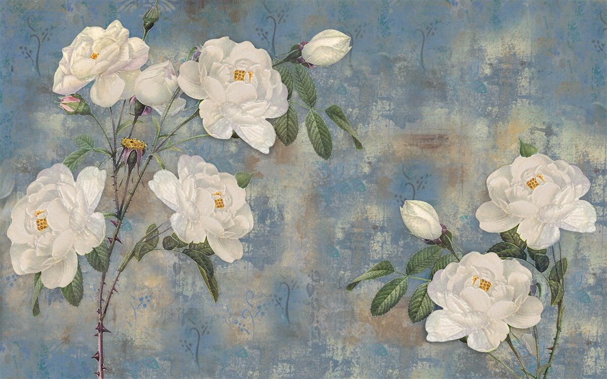 Fototapeta biela ružová na modrom základe