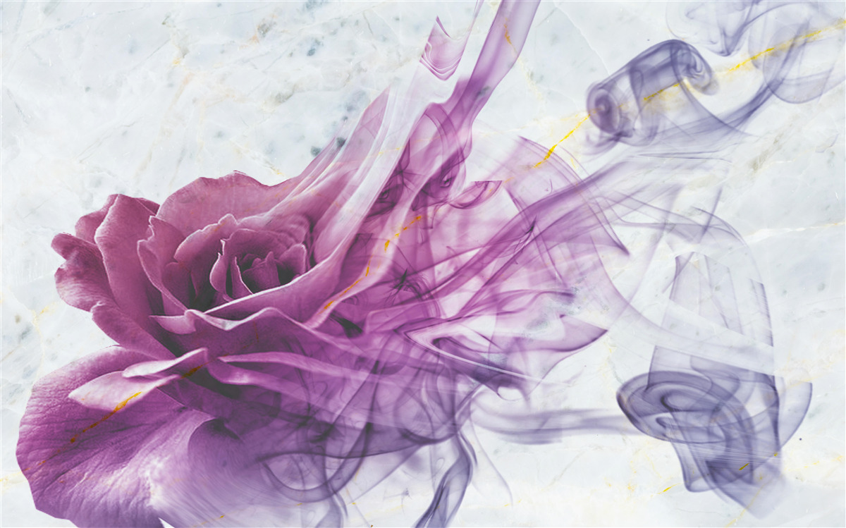 Fototapeta hmla z fialového kvetu