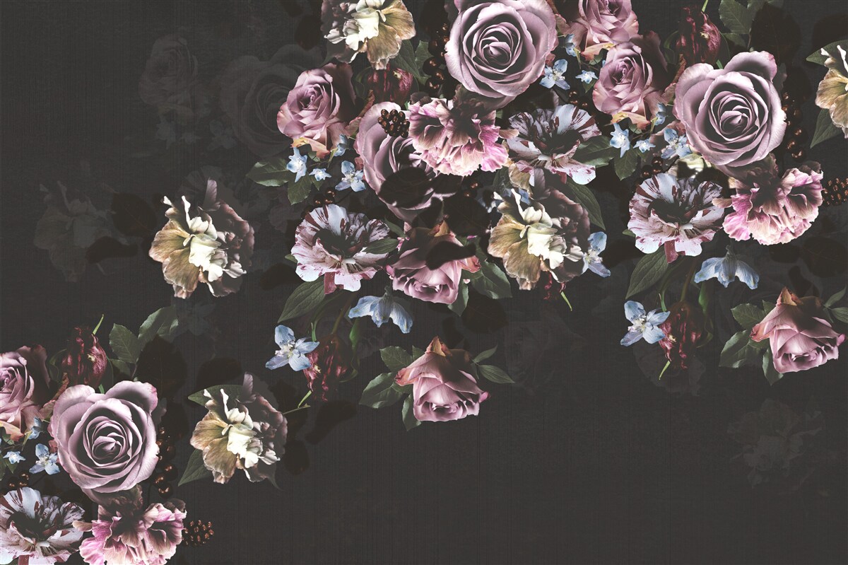 Fototapeta Ružové kvety na čiernom podklade