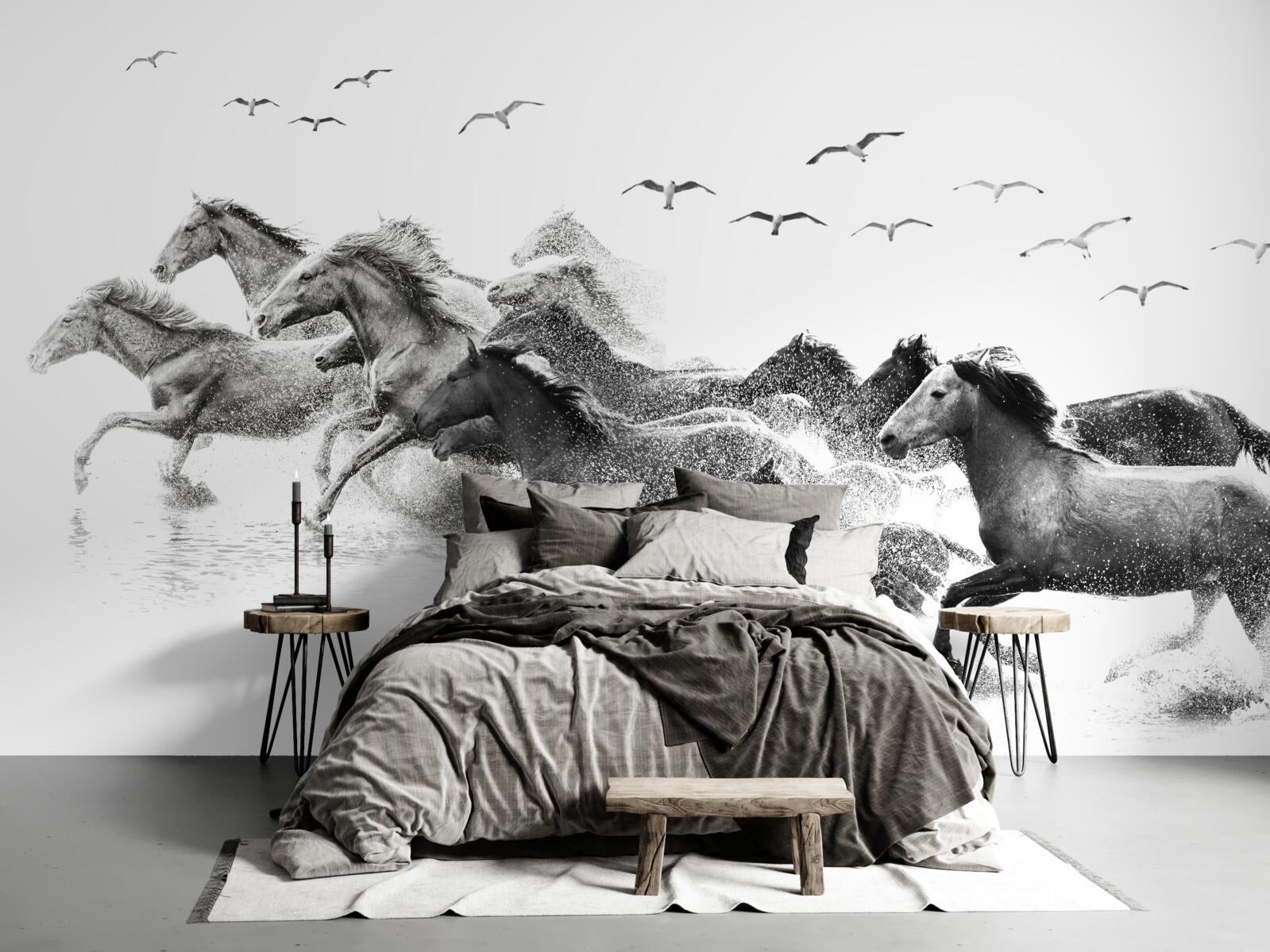 Fototapeta veľa cválajúcich koní