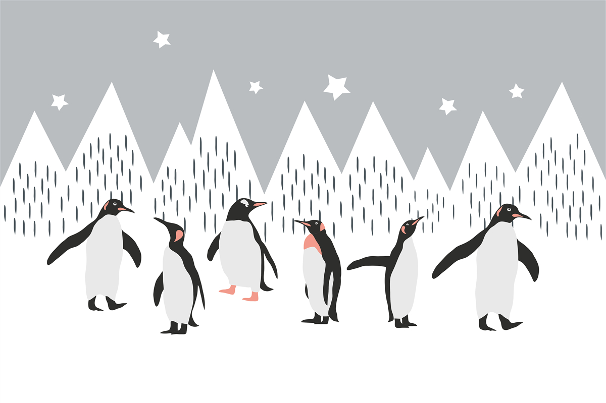 Fototapeta tučniaky idú na prechádzku