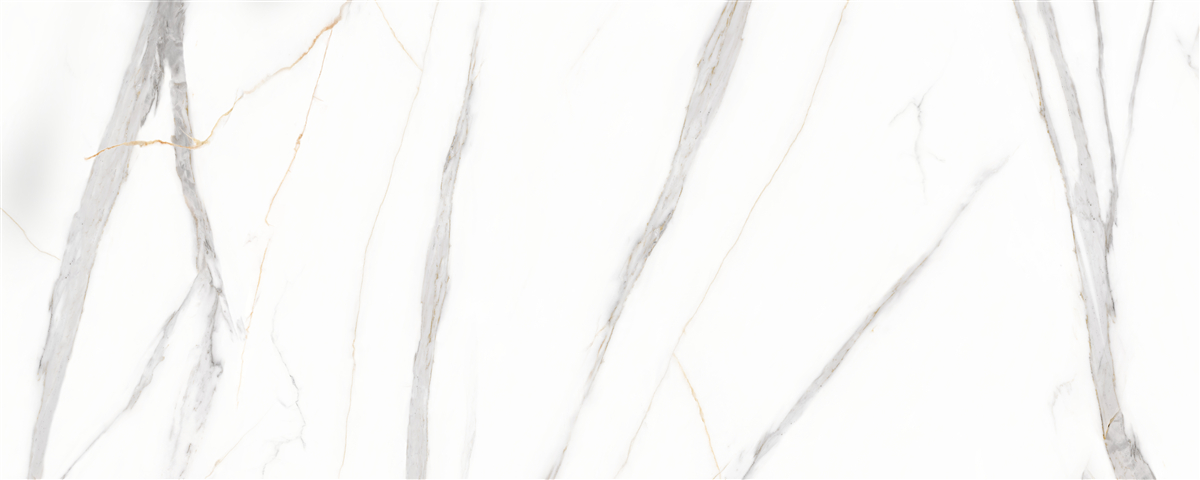 Fototapeta biele zadie so sivými pruhmi