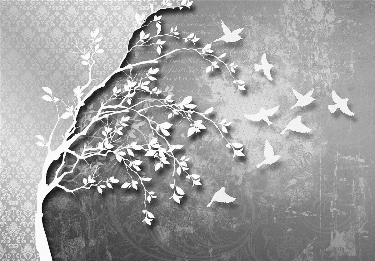 Fototapeta obrys pôvabných stromov a vtákov