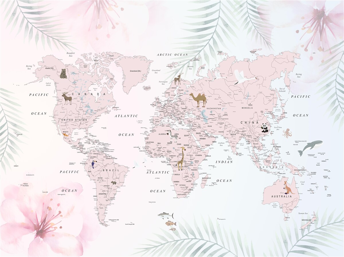 Fototapeta mapa sveta na jemnom svetle Pozadí