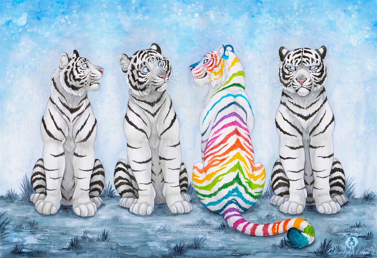 Fototapeta jeden tiger škvrnitý a tri biele tigre