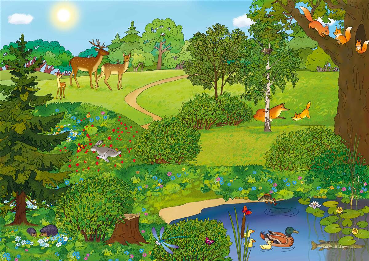 Fototapeta zvieratá chodia po lesnej čistinke