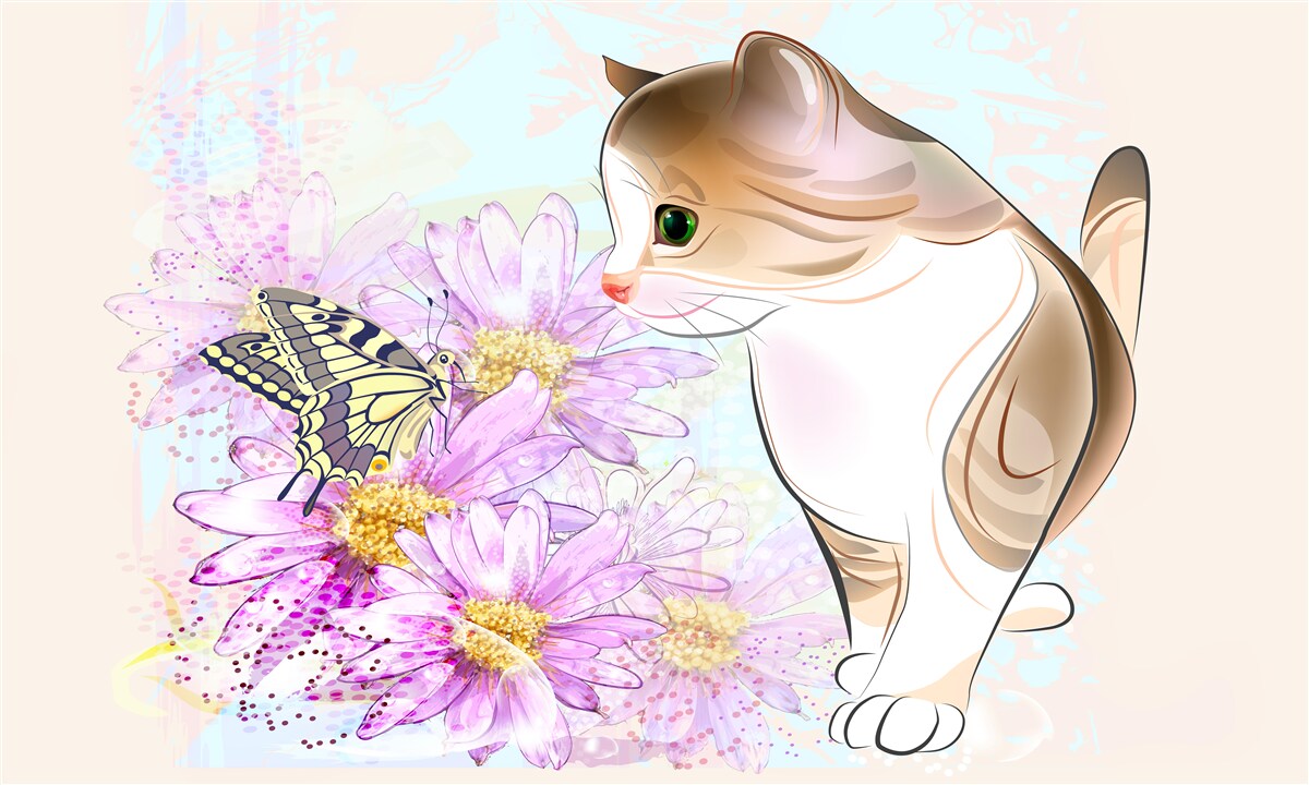 Fototapeta motýľ upútal pozornosť mačky