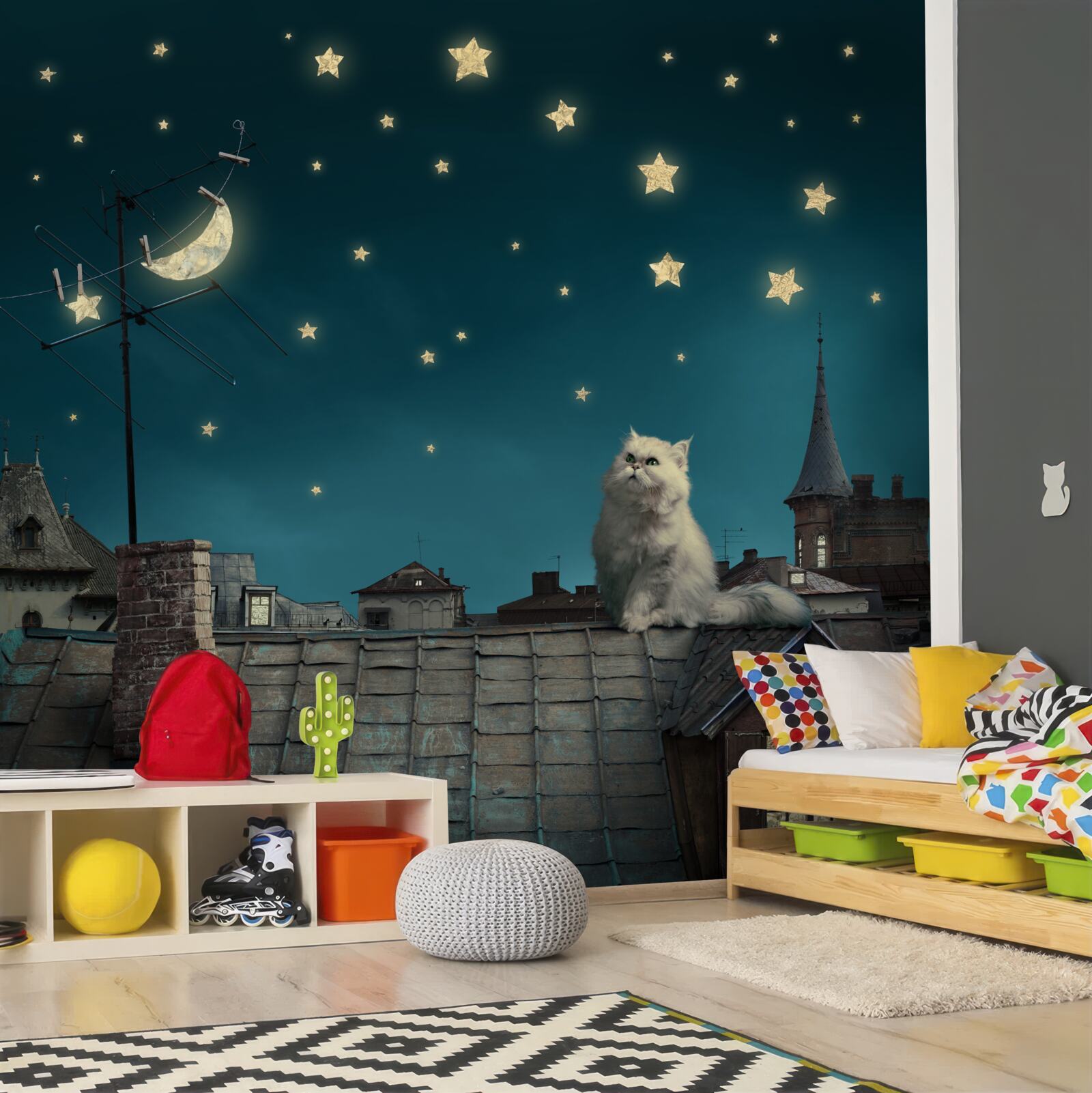 Fototapeta v noci je na streche biela mačka