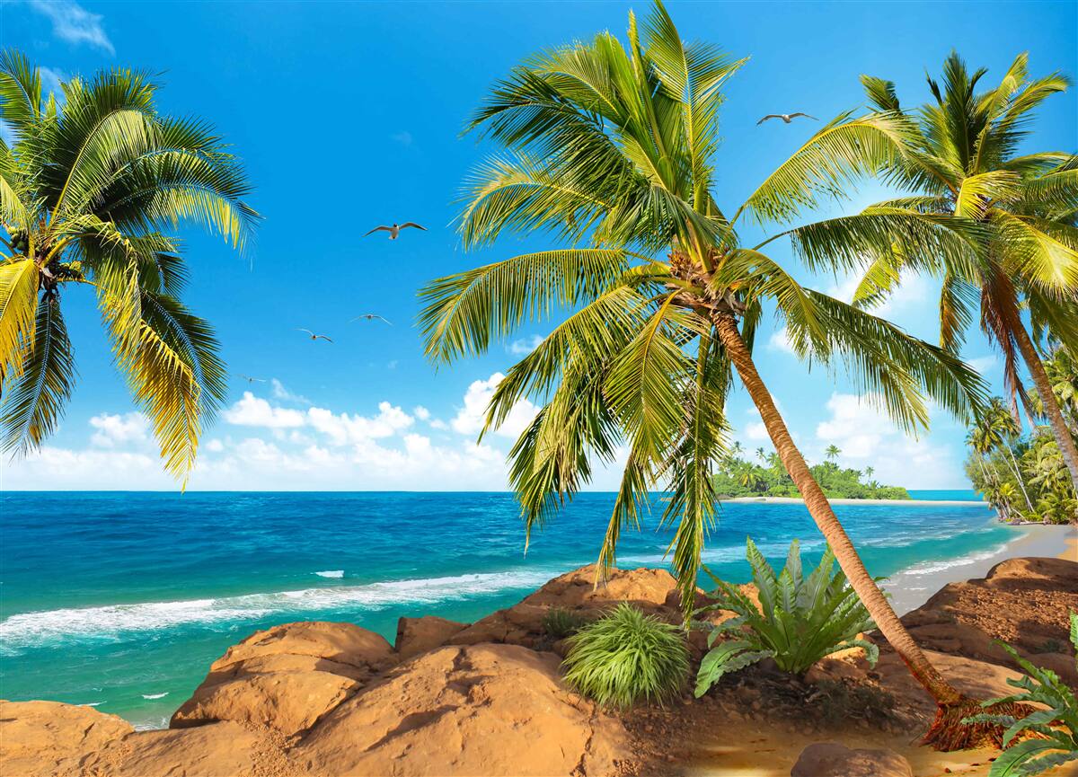 Fototapeta vysoké palmy blízko pobrežia