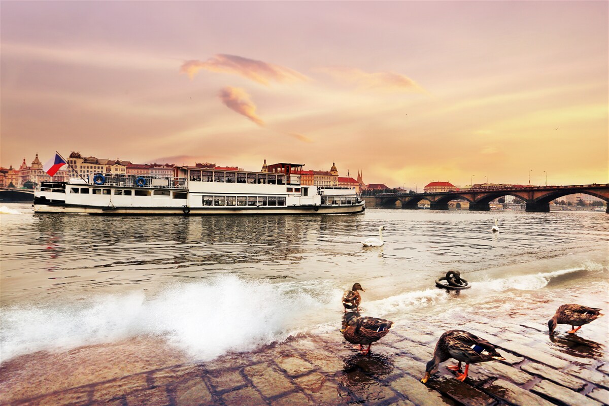 Fototapeta kačice pri rybníku