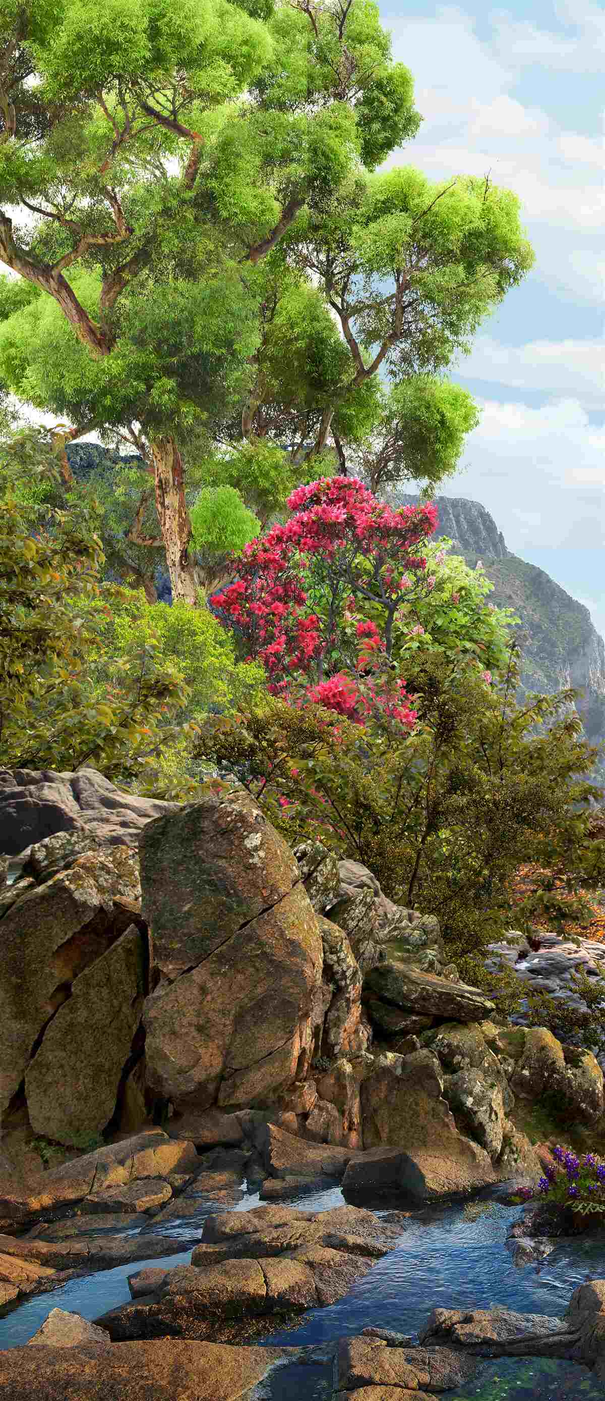 Fototapeta tráva a horský potok