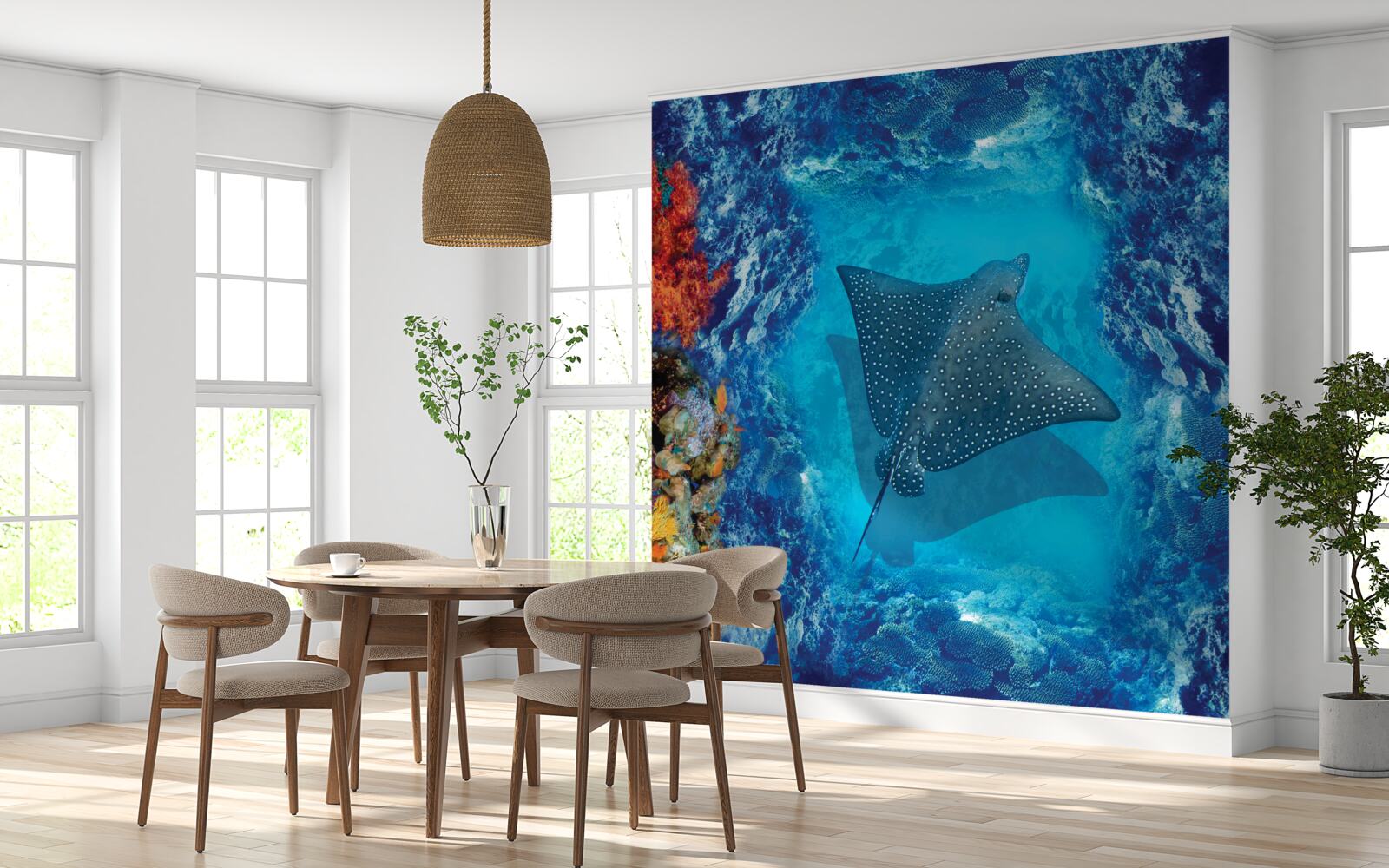 Fototapeta plávanie rejnok