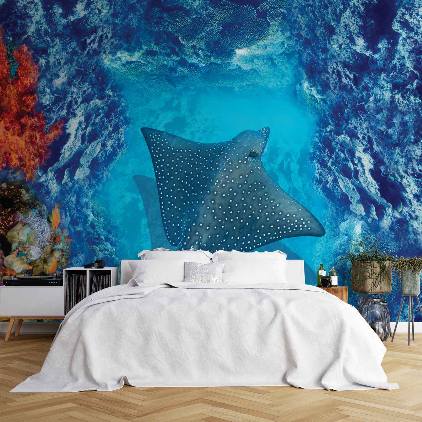 Fototapeta plávanie rejnok