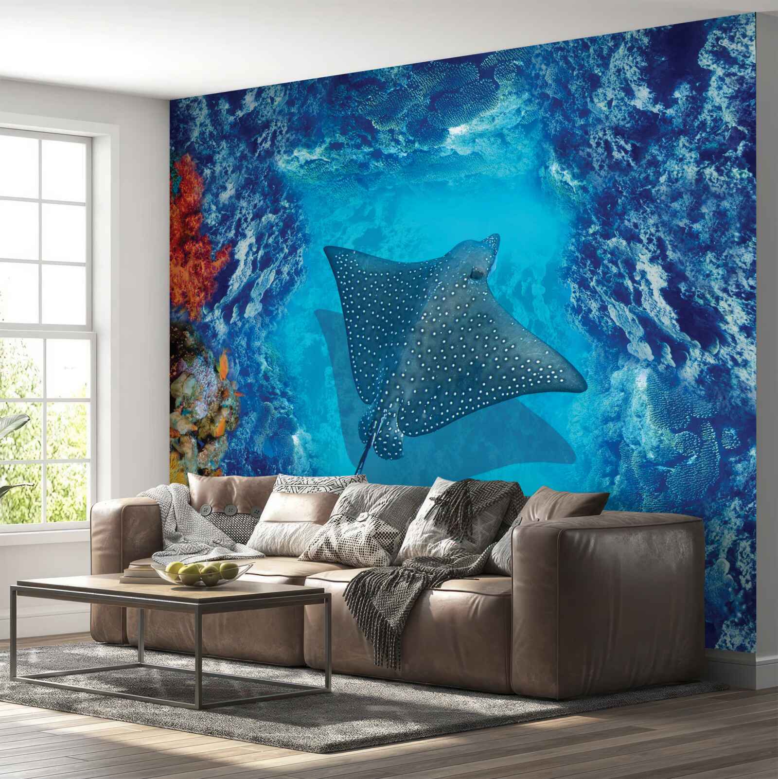 Fototapeta plávanie rejnok