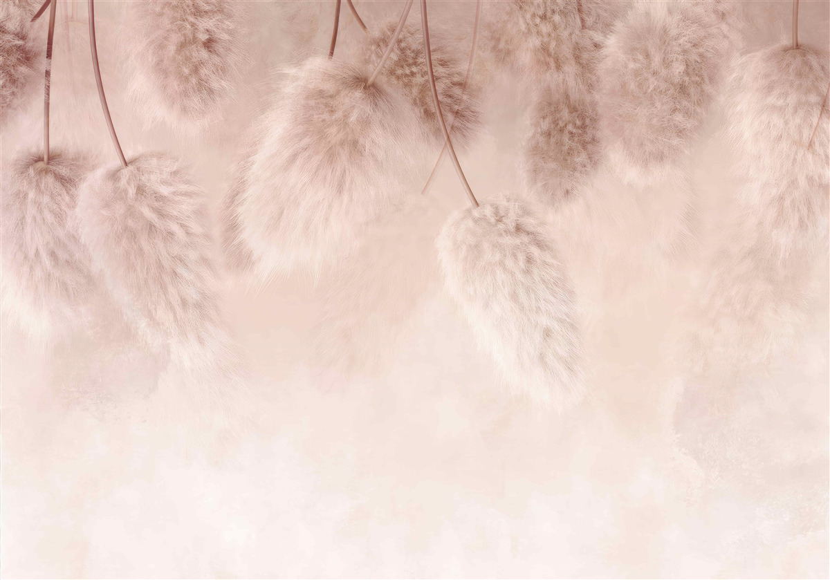 Fototapeta sušené kvety na ružovom pozadí