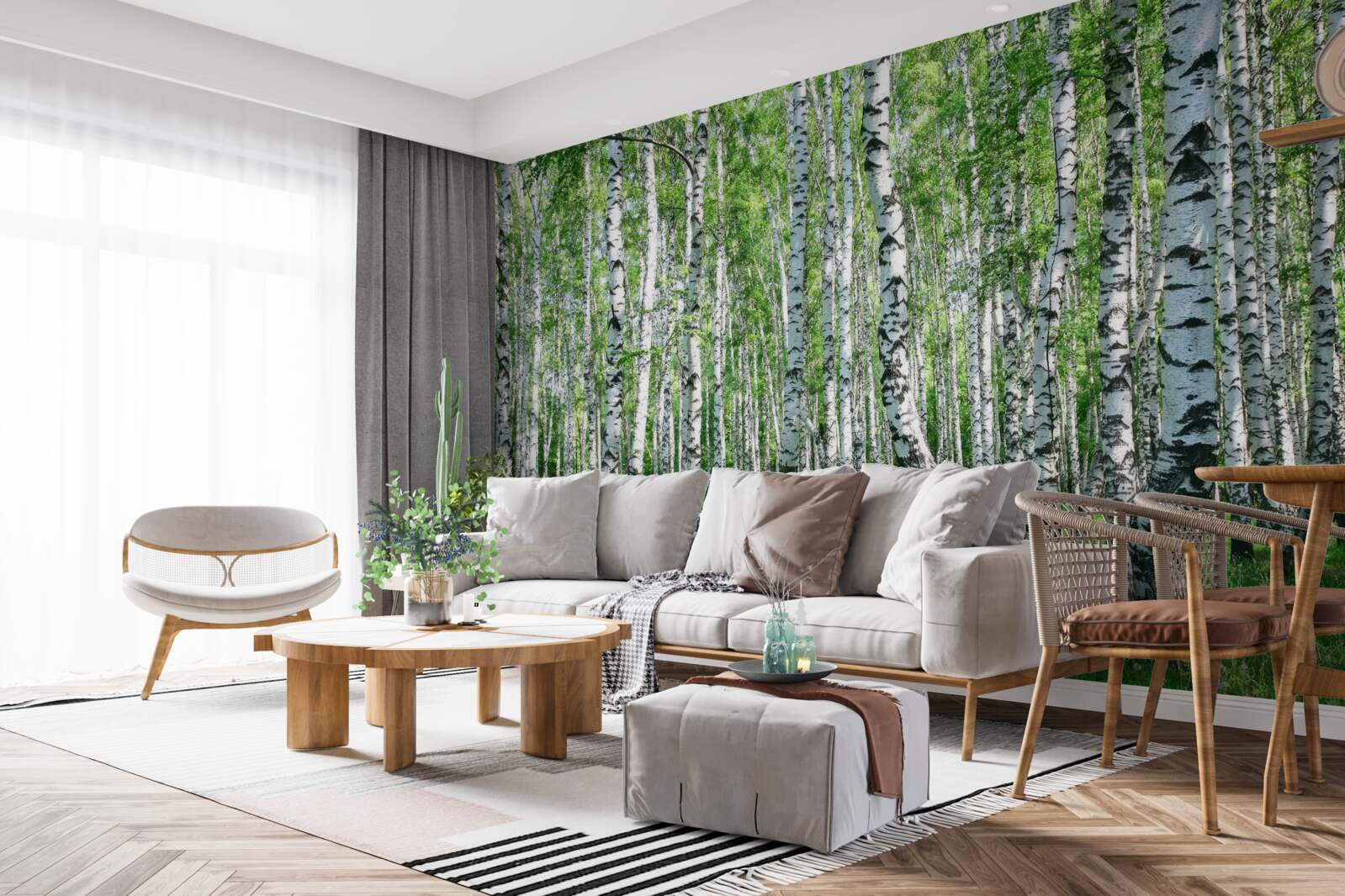 Fototapeta jarný brezový les