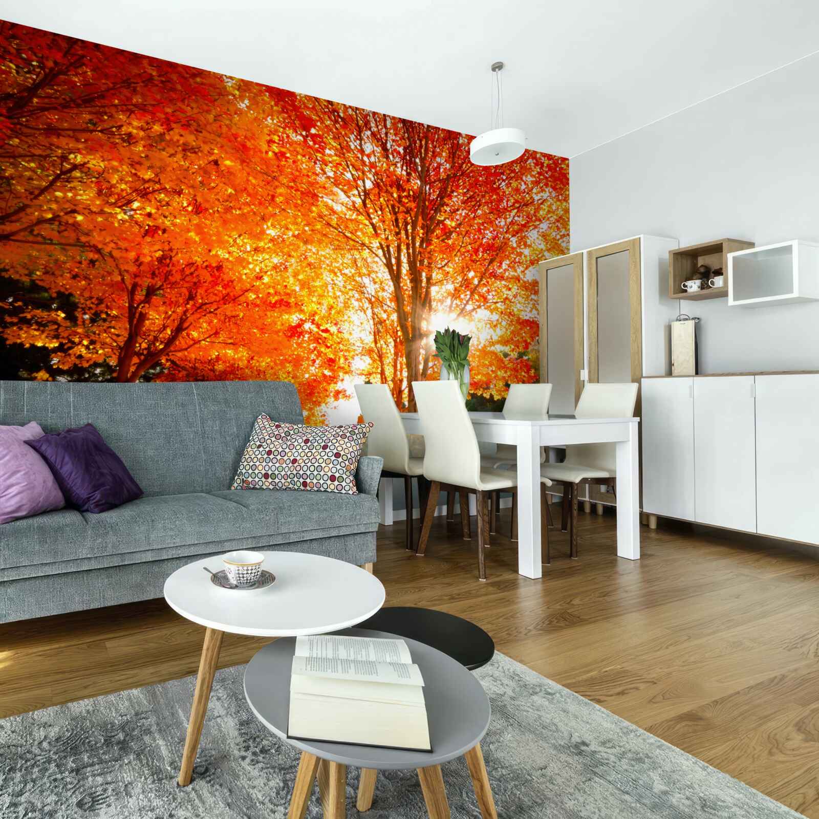 Fototapeta les plný jesenných farieb