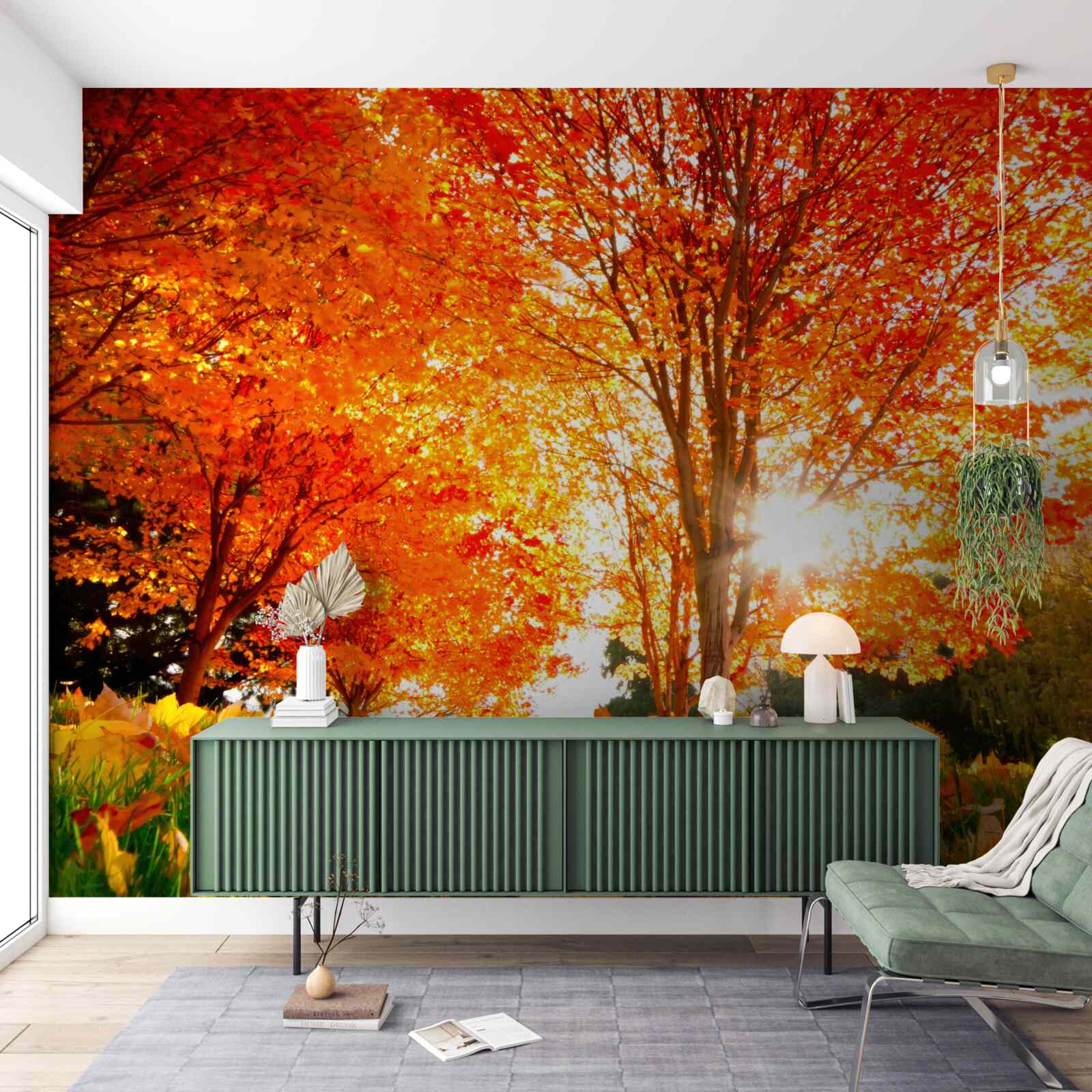 Fototapeta les plný jesenných farieb