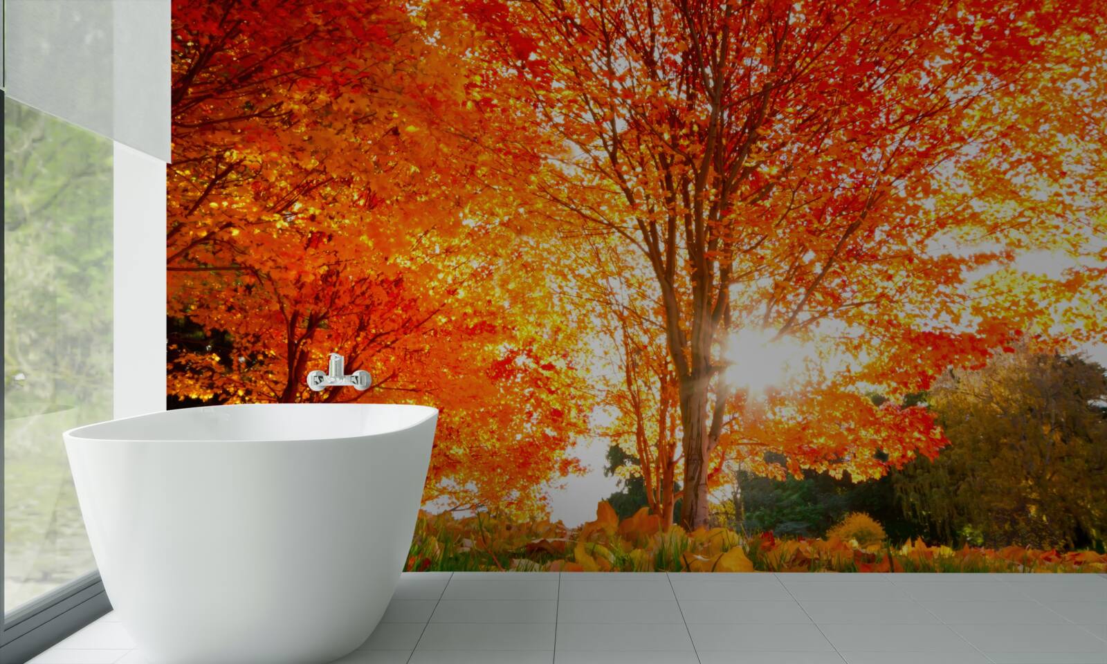 Fototapeta les plný jesenných farieb