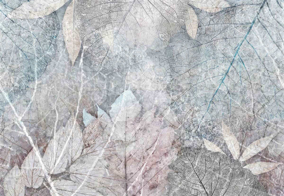 Fototapeta zbierka sušených rastlín na sivom pozadí