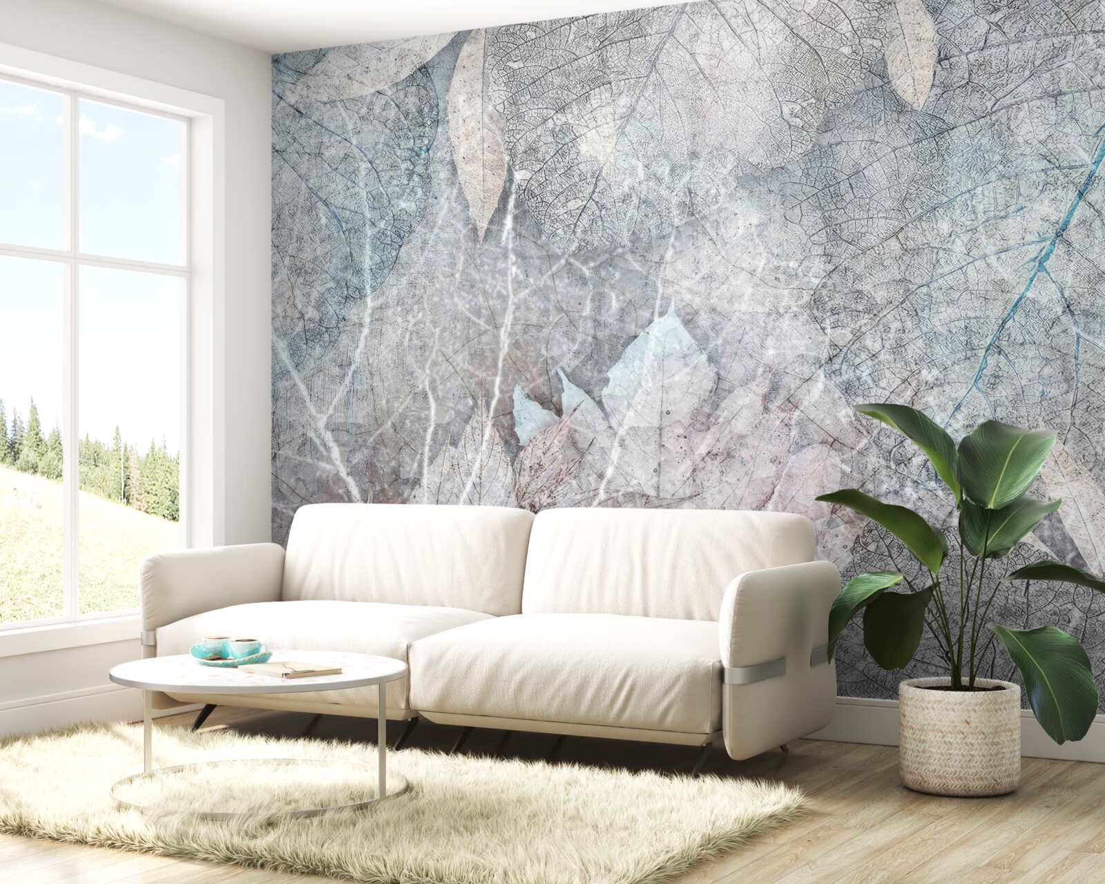 Fototapeta zbierka sušených rastlín na sivom pozadí