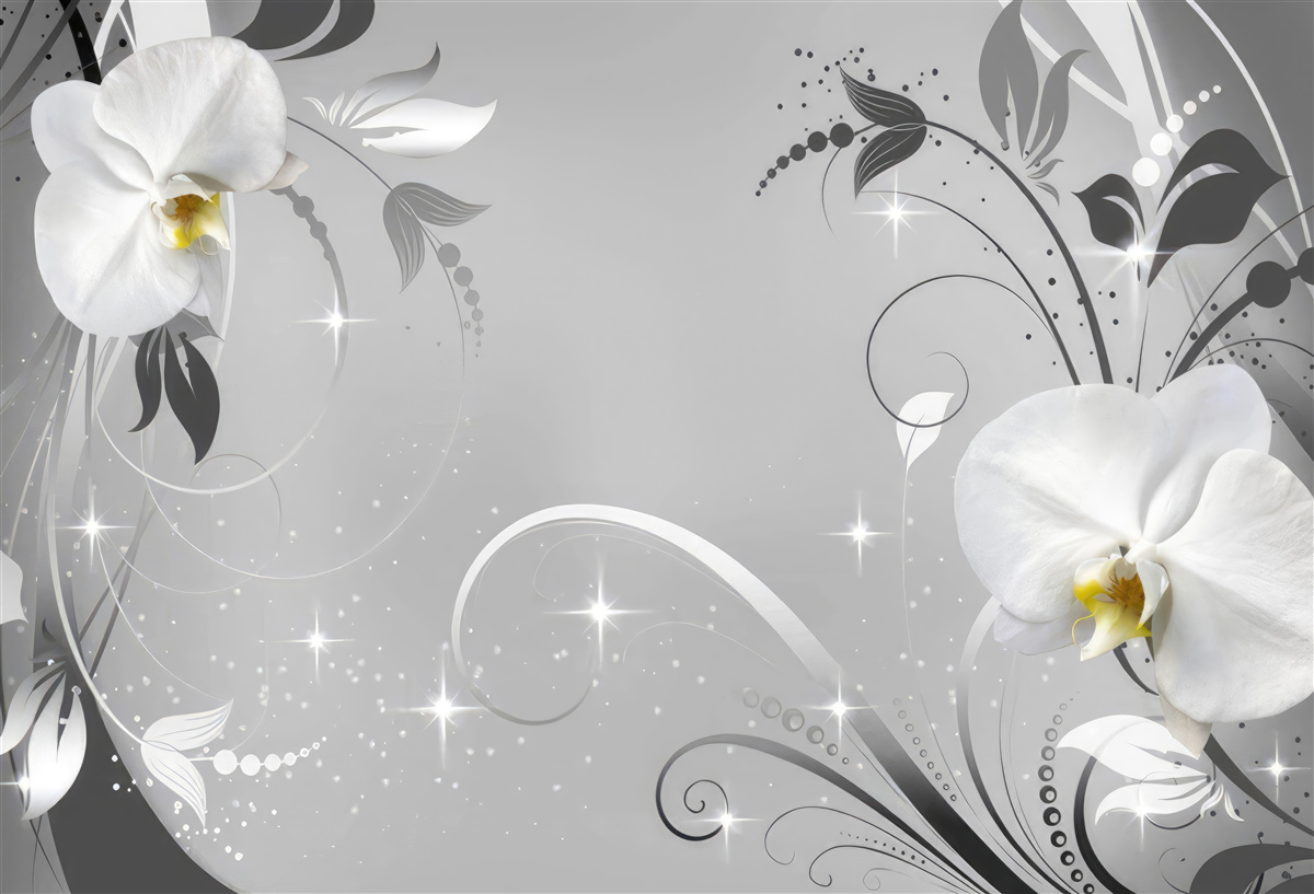 Fototapeta biele orchidey a sivé listy