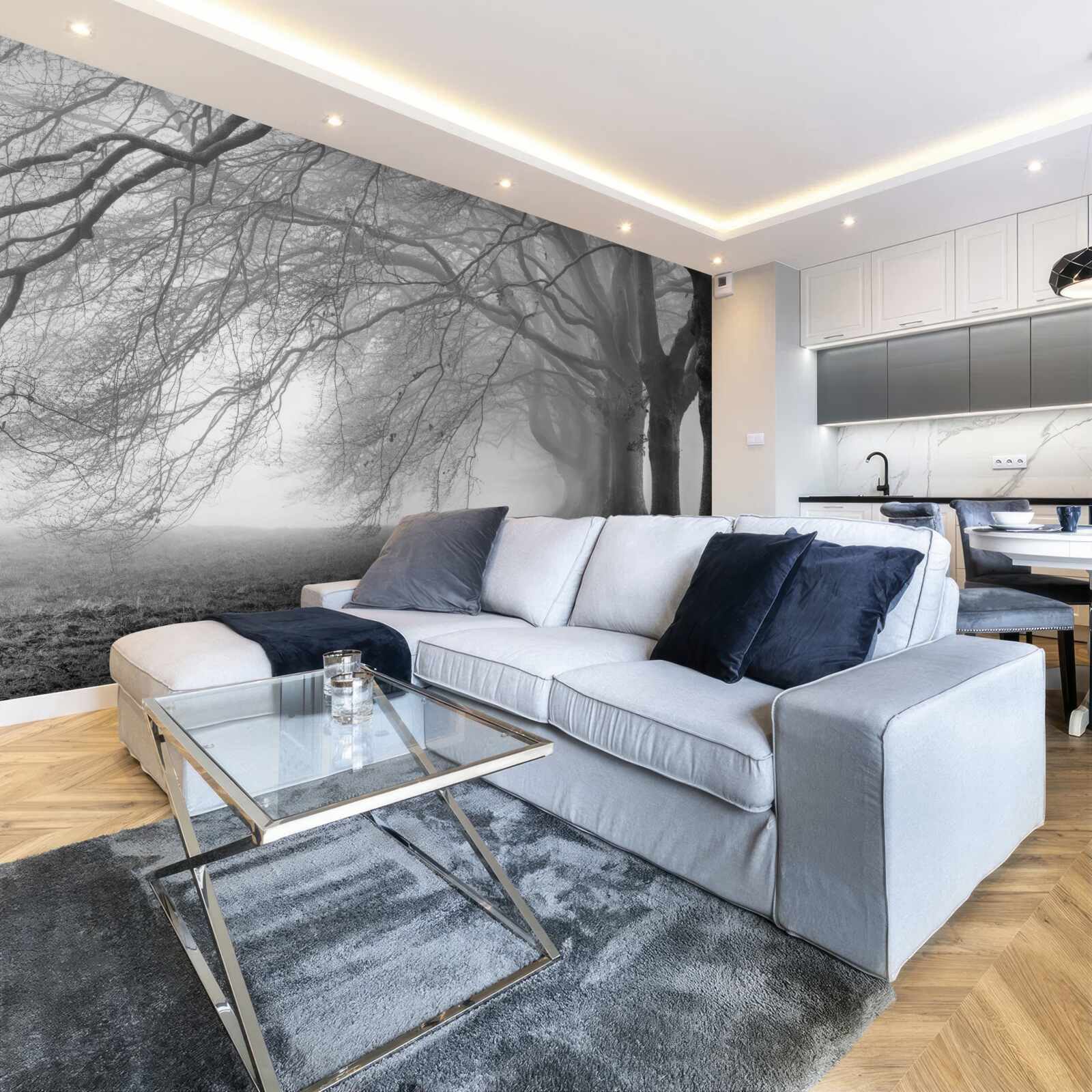 Fototapeta hmlistý les pokrytý stromami