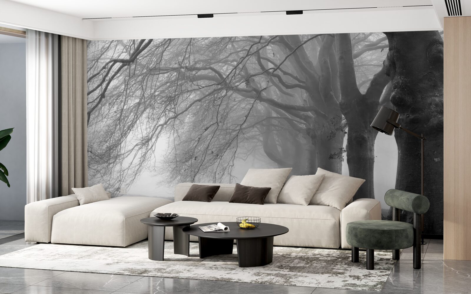 Fototapeta hmlistý les pokrytý stromami